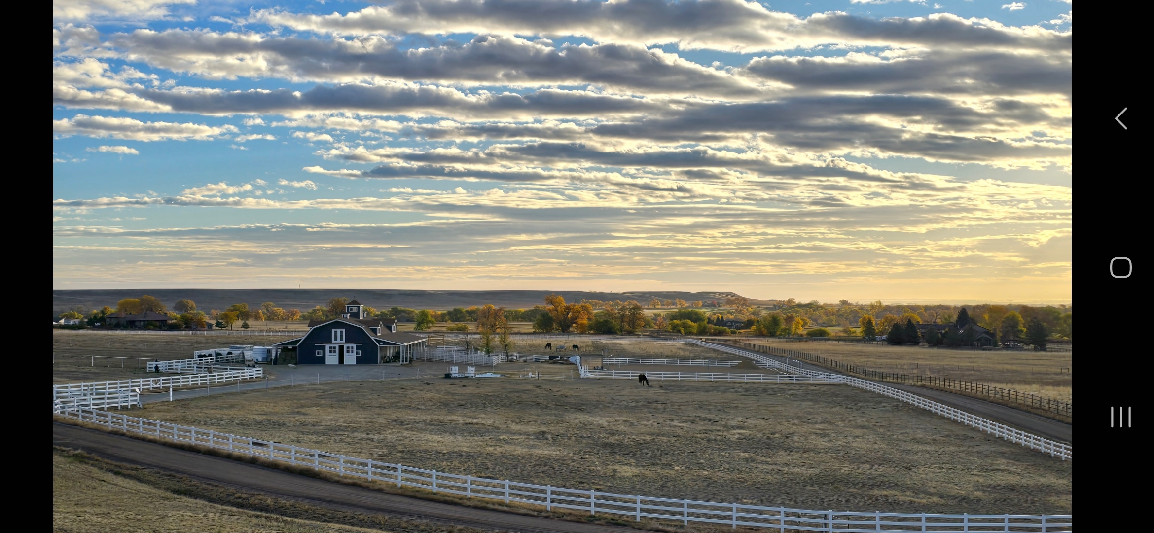 Wide view of the pastures and main barn at Lone Tree Acres during golden hour